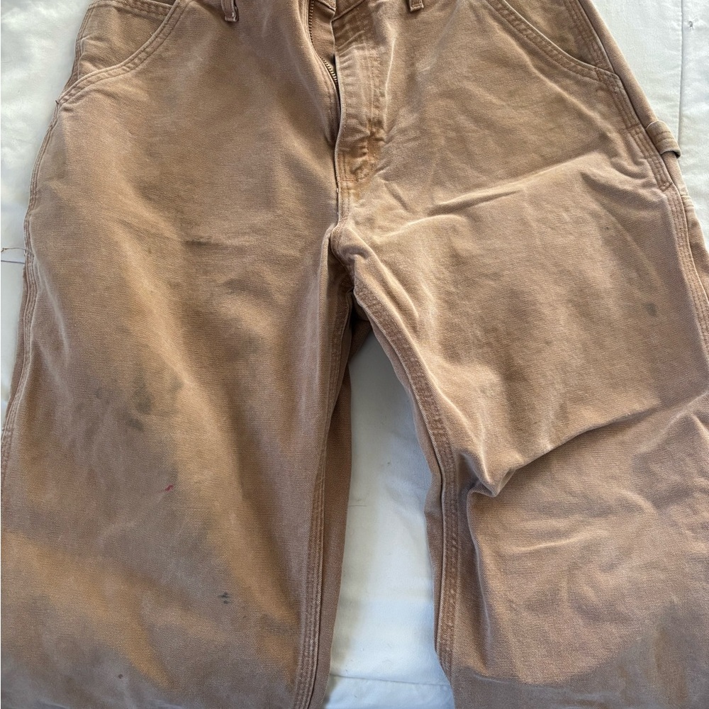 Carhartt Men's Brown Cargo Pants